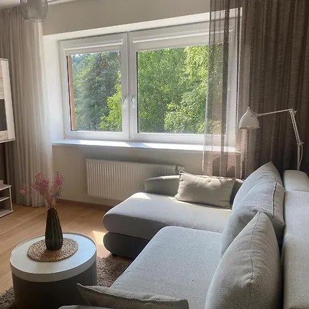 Apartment With A Forest View