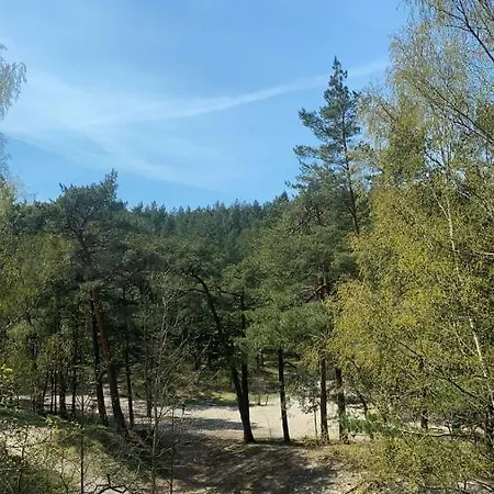 With A Forest View Klaipeda
